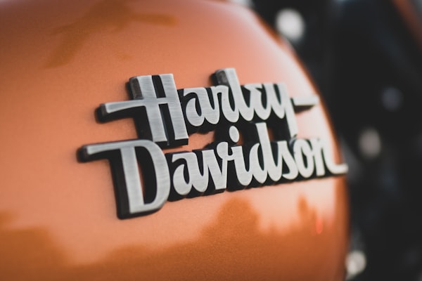 Neural network link building algorithm for search engine optimization